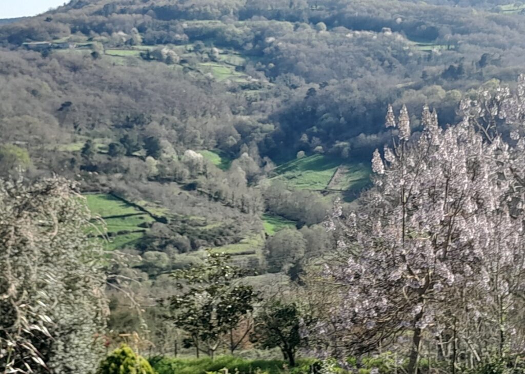 foto_ruta_1_1